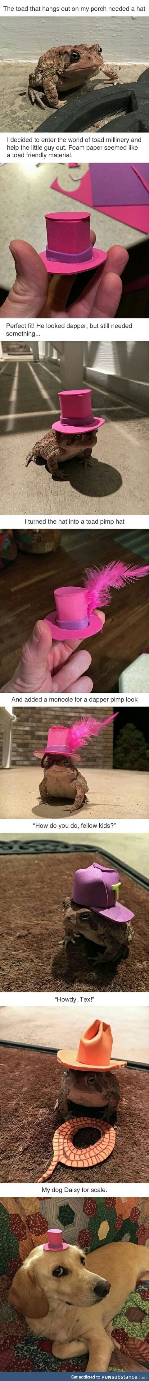 Toad with many hats