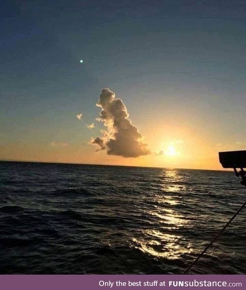 Rare photo of the UK leaving the EU