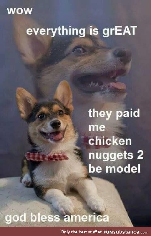 God bless doggo