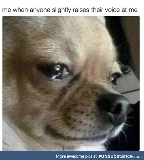 Don't yell at me I'm sensitive!