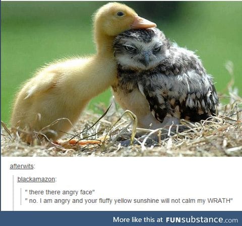 Me when I'm in a bad mood and my friends are being perky