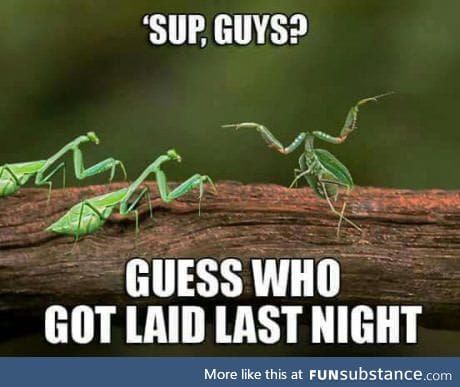 Lucky b*stard