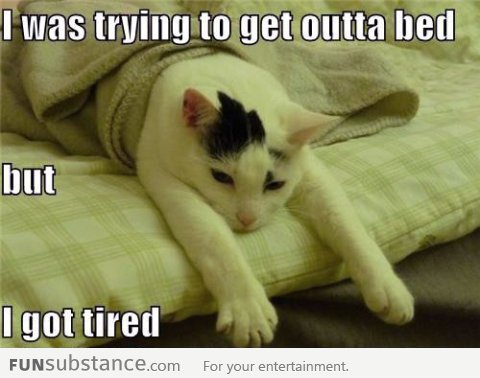 Story of my mornings