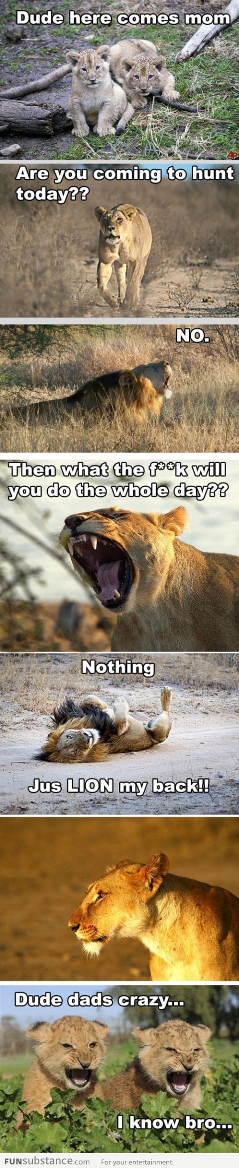 Here comes mom