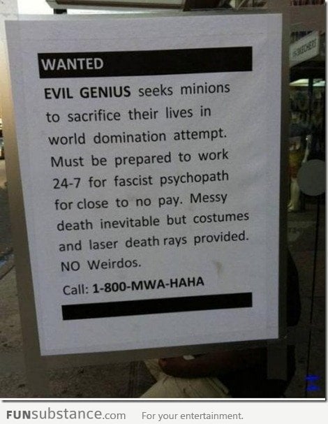 Wanted : Evil Genius