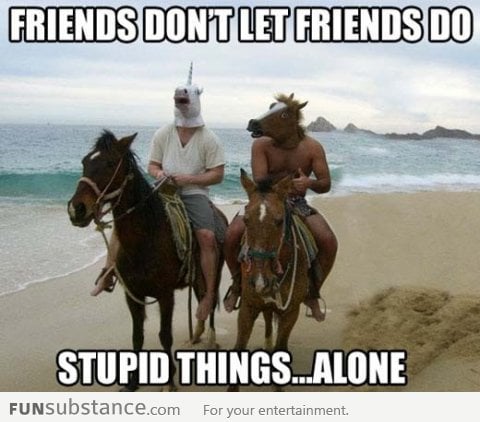 Friends Don't Let Friends Do Stupid Things