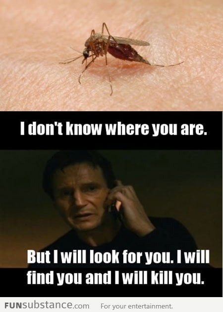 When I get bit by a mosquito