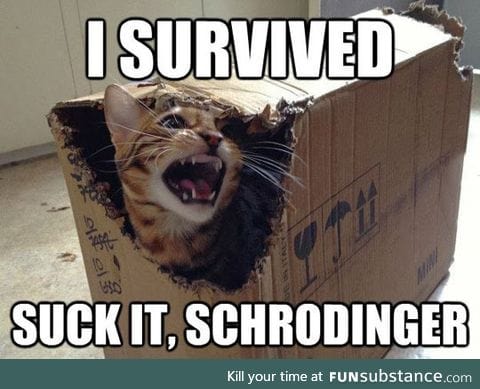 Schrodinger's Cat Final Results