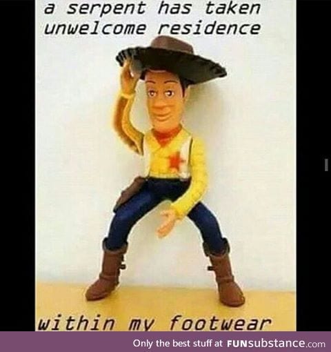 Theres a snake in my boot