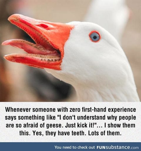 They have teeth, guys
