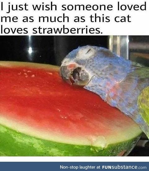 Makes sense