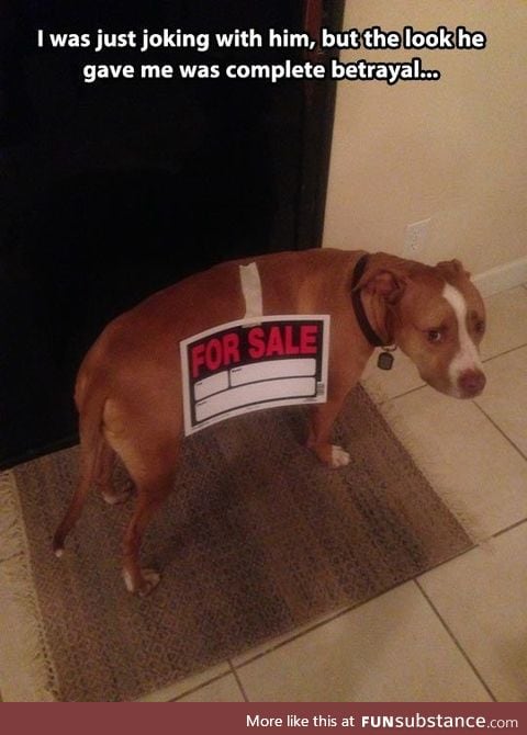 Poor guy