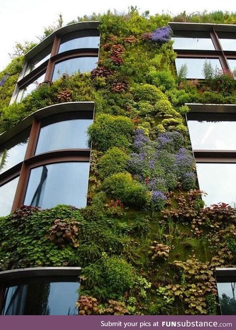 This building is precious