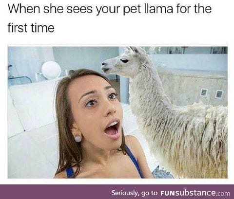 Awwwl it's so cute