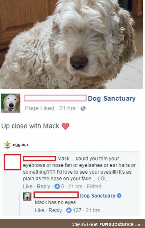 Up close with Mack