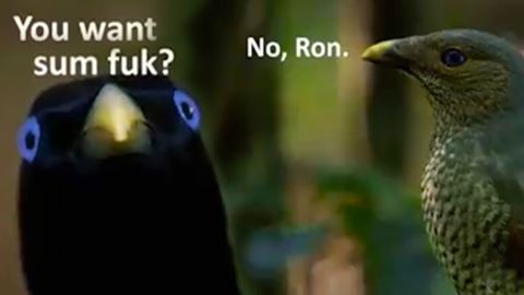 Warning: Ha ha I stole it _