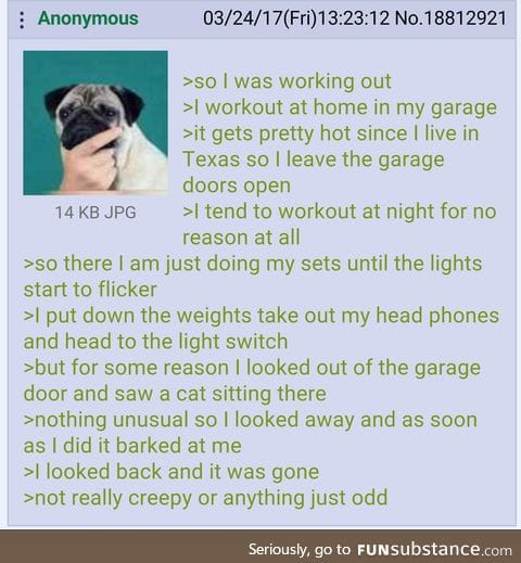 /x/ tells creepy stories