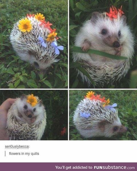 So cute