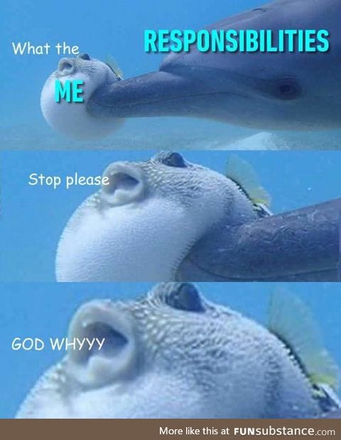 Why must you do dis! Also the dolphin is getting high on that poor bubble fish