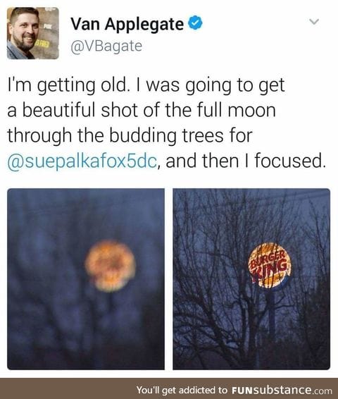 Delicious moon