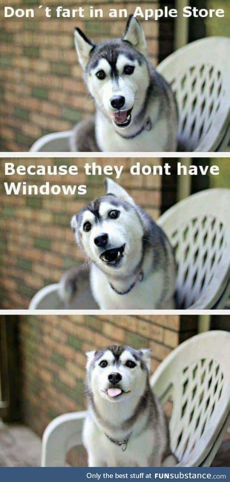 Listen to me now hoomans