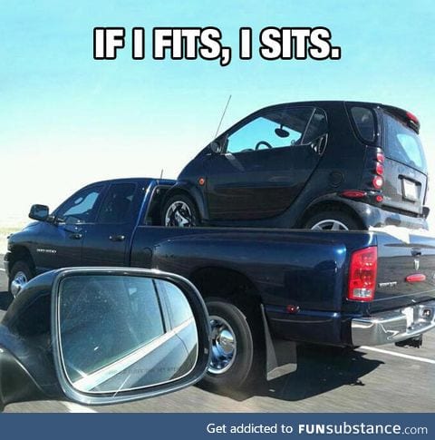 Pretty smart
