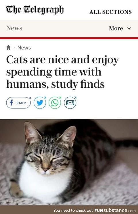 Finally some news we can all be happy to hear