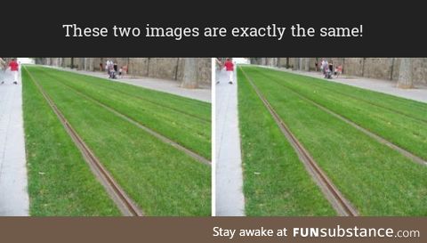 Identical photos illusion