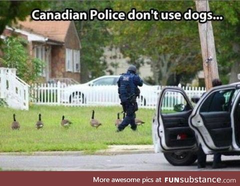 Silly canadians