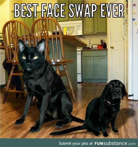 Bestest!