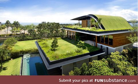 Nature lover's house
