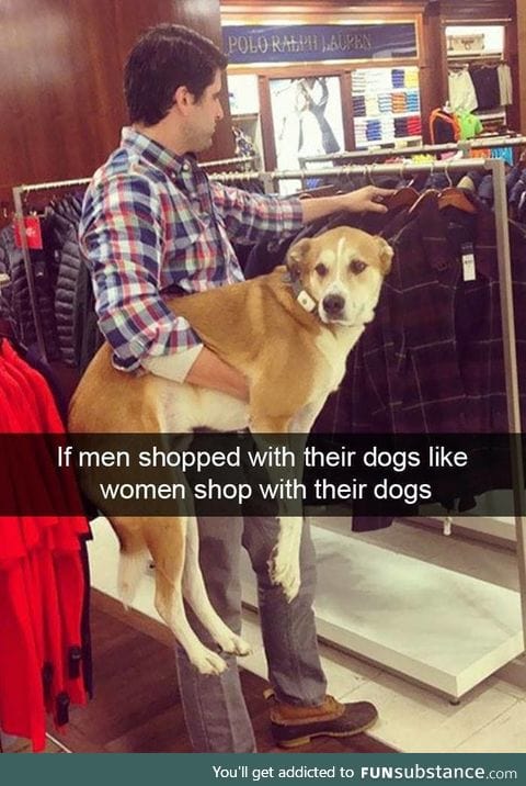 Man's best friend