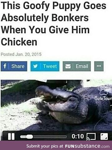 That puppy looks sick