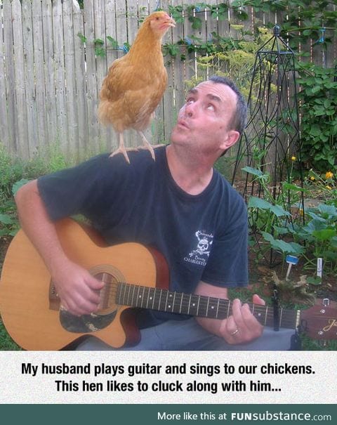 Chicken pickin'