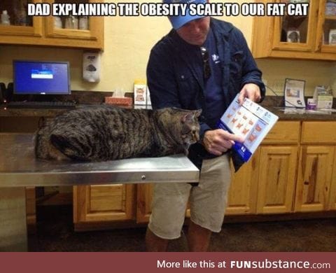 Size of a Small Meowtain