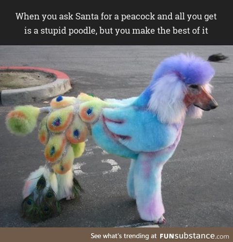Floof doggo does a vv heckin good birb disguise