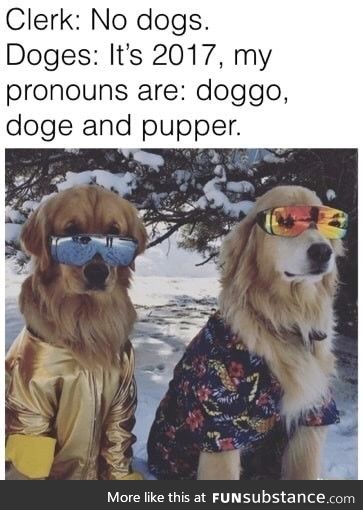 New pronouns