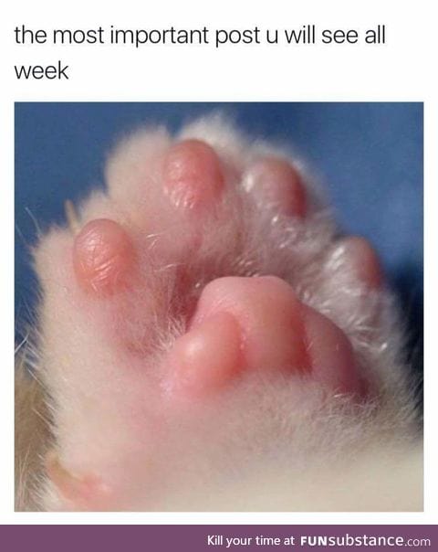Vvv important post