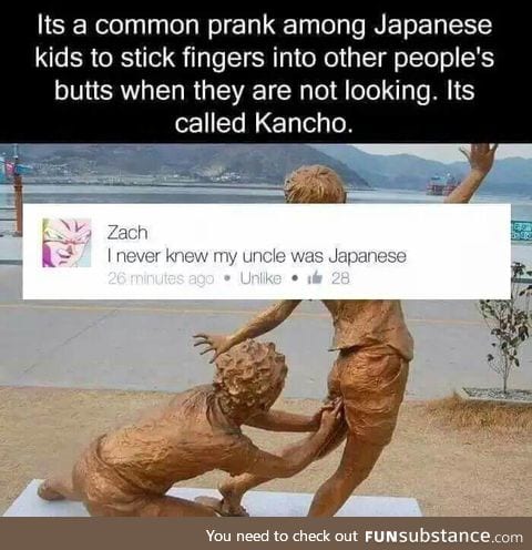 I should go to Japan