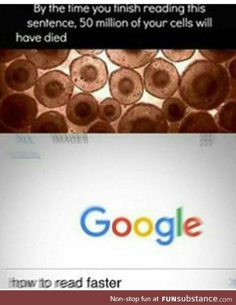 2meirl4meirl