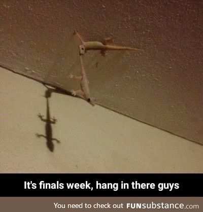 Hang in there