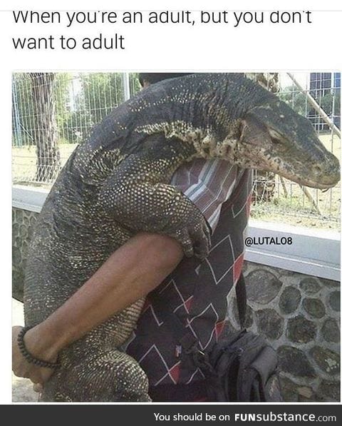 Let me be big lizard