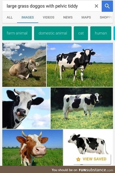 What's that animal called again?