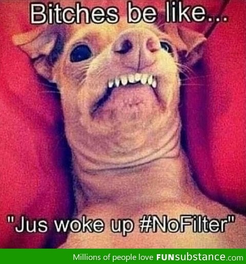 B*tches be like