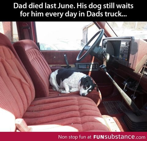 So much feels