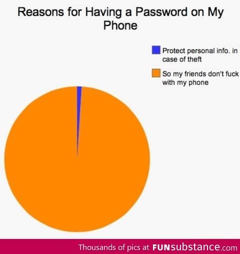 Reason for Having a Password on My Phone