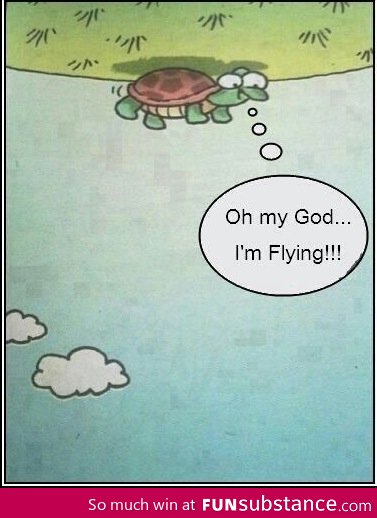 Sometimes it's better to be stupid