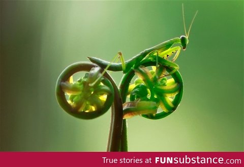 There's no time to explain, get on my bike