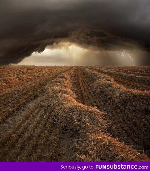 Autumn Storm, Baden-Wurttenburg, Germany