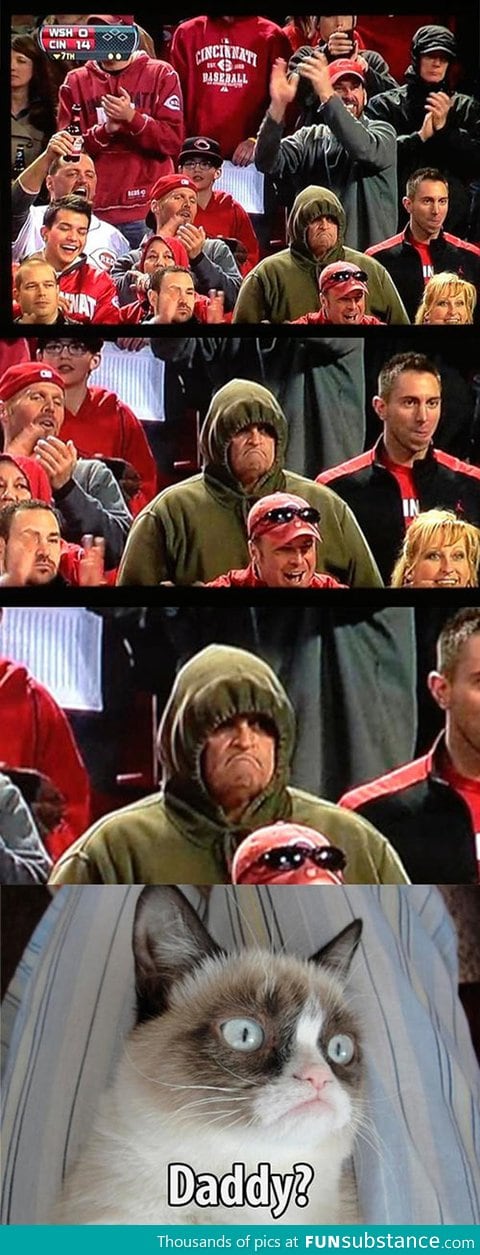 Grumpy cat finds his dad